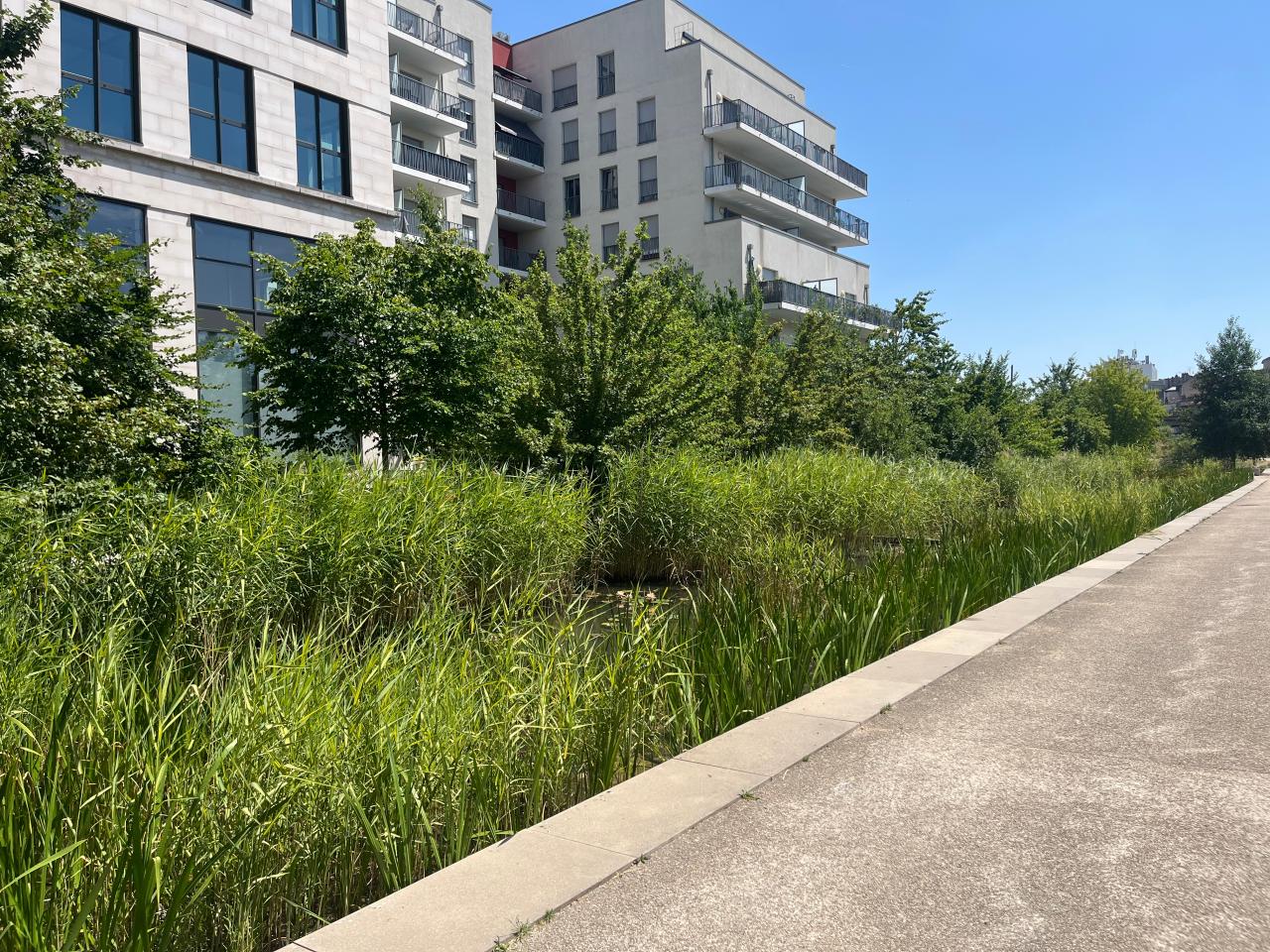 Bureau Nancy 1105.46m² Location Bureau Nancy Meurthe-et-Moselle OLBUR2536277