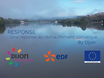 response_dijon