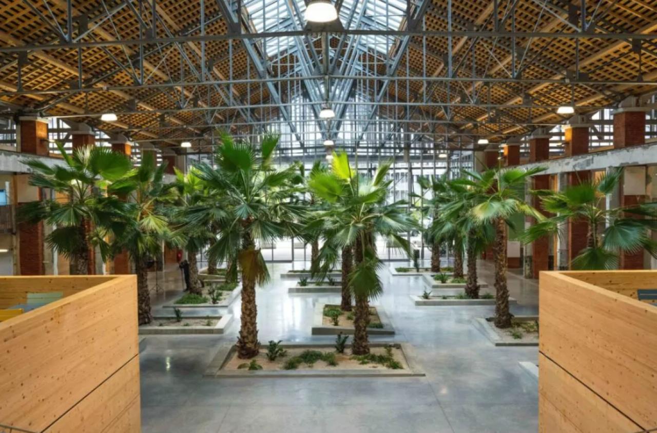 Coworking Toulouse 0m² Location Coworking Toulouse Haute-Garonne OLBUR2531608 1