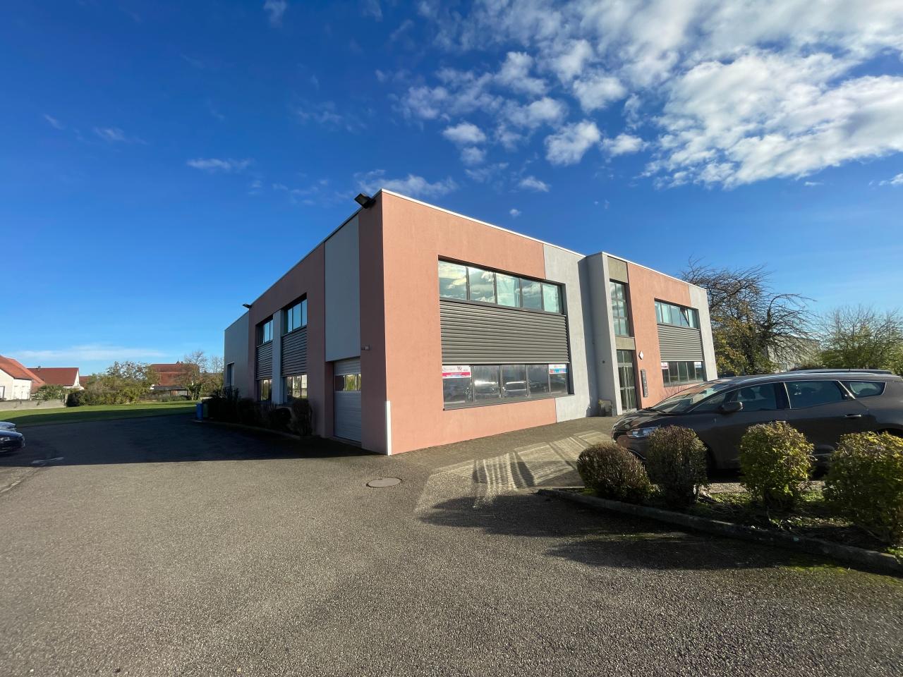 Local d'activité Bischoffsheim 407m² Location Local d'activité Bischoffsheim OLACT2536893