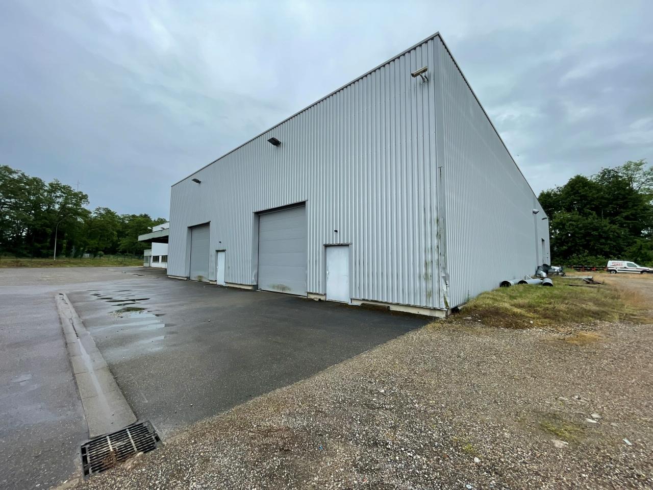 Local d'activité Bischwiller 2700m² Vente Local d'activité Bischwiller Bas-Rhin OVACT2533127 1