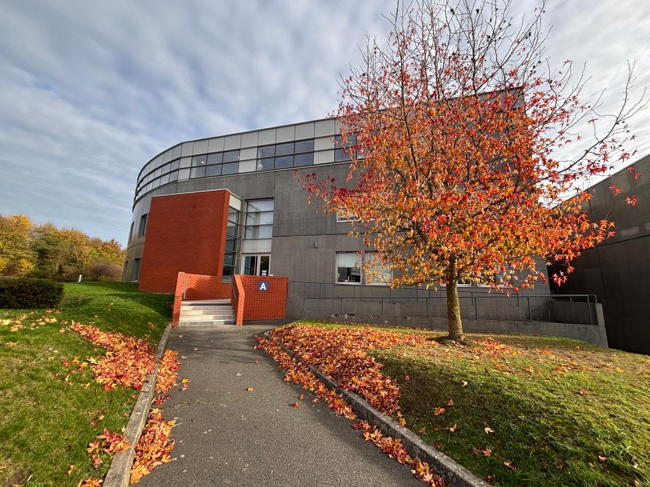 Bureau Lambersart 858m² Location Bureau Lambersart Nord OLBUR2536744 1