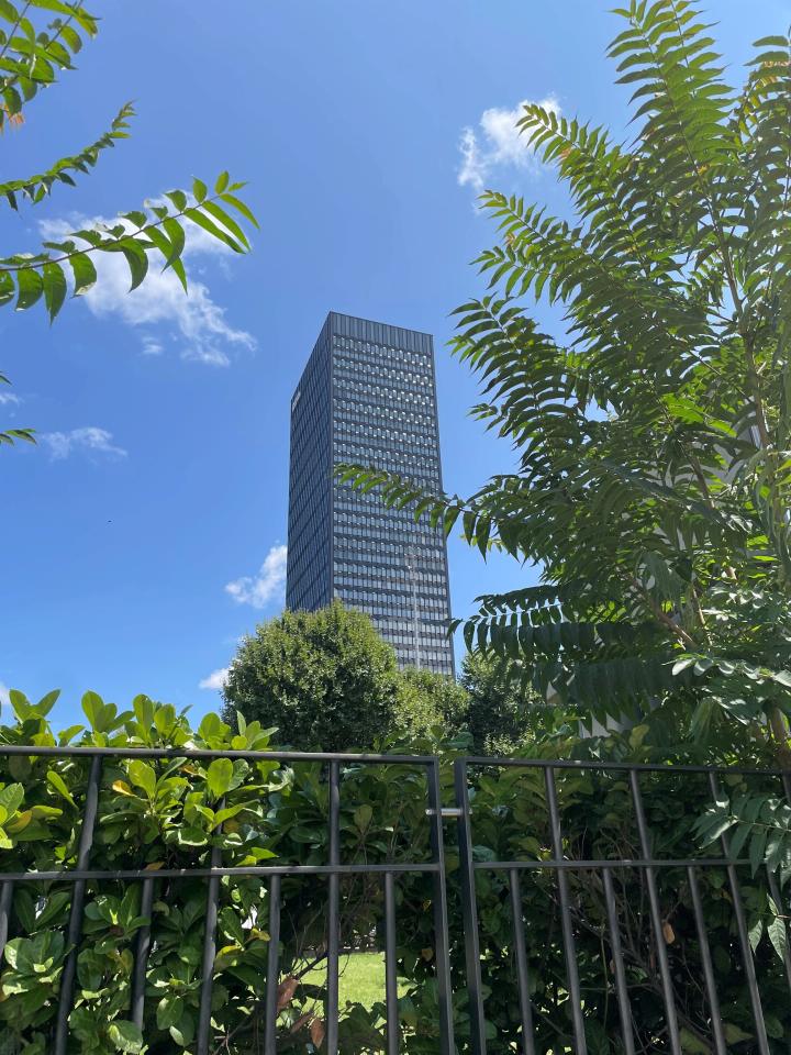 Coworking Lyon m² Location Coworking Lyon OLBUR2309864