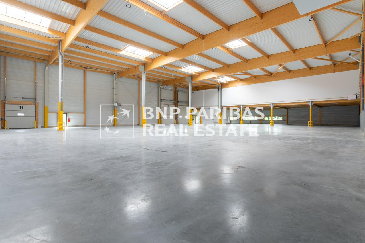Local d'activité Brie-Comte-Robert 2204m² Location Local d'activité Brie-Comte-Robert Seine-et-Marne OLACT2642295
