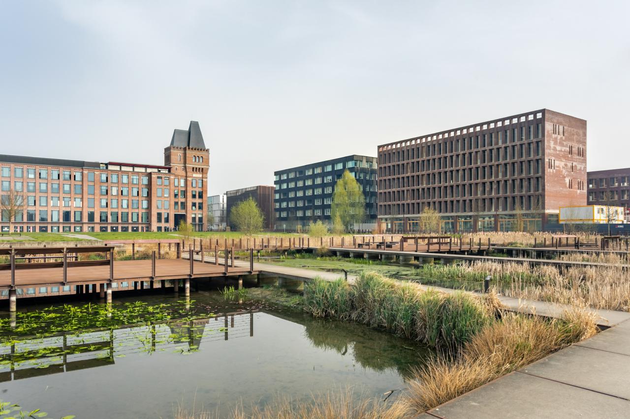 Location Bureau Lille