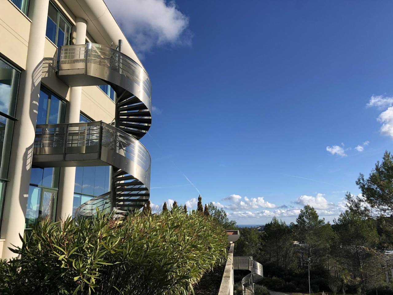 Bureau Sophia Antipolis 184m² Location Bureau Sophia Antipolis Alpes-Maritimes AOLBUR2119902_1