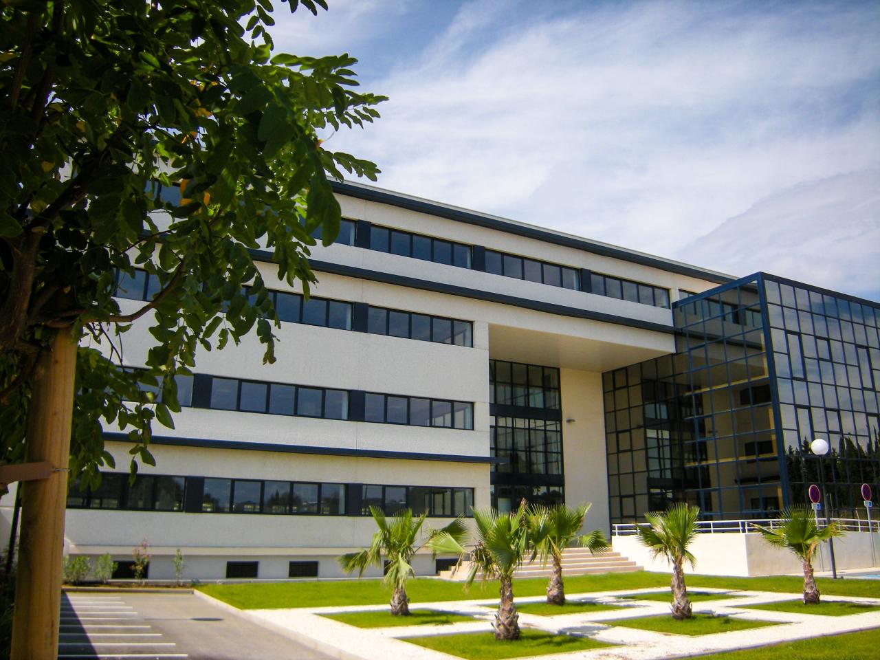 Bureau Montpellier 487m² Location Bureau Montpellier Hérault OLBUR2535533 1