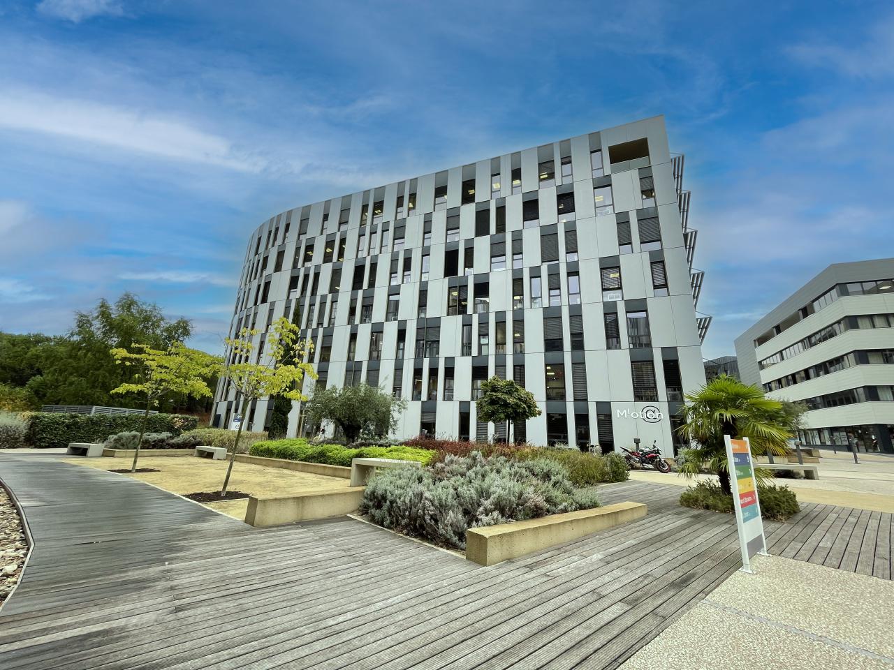 Bureau Montpellier 1172m² Location Bureau Montpellier Hérault OLBUR2423628