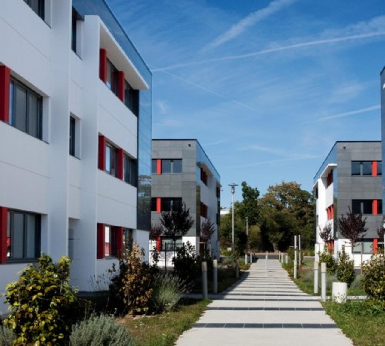 Bureau Saint-Herblain 224m² Location Bureau Saint-Herblain Loire-Atlantique OLBUR2537156 1