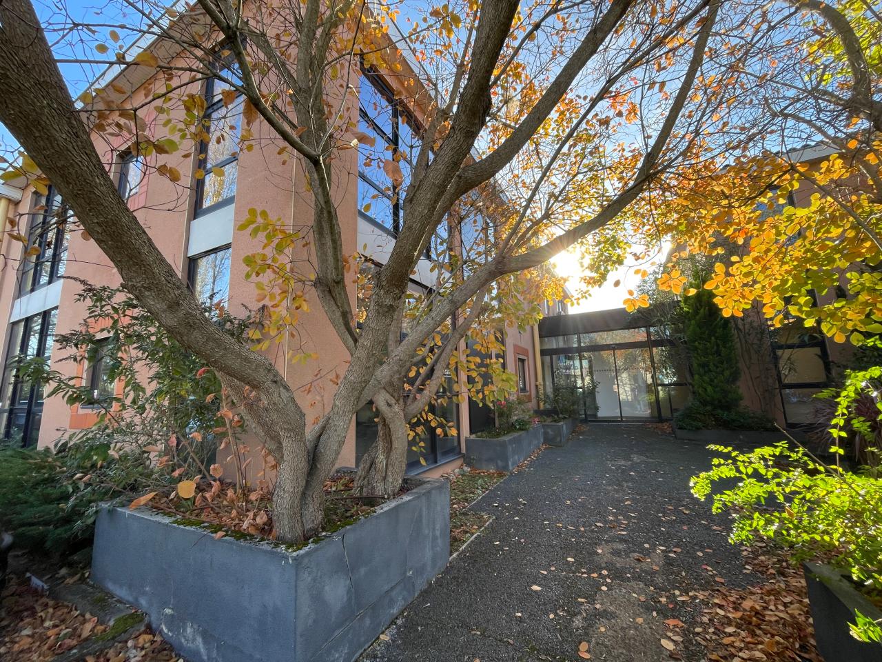 Bureau Ramonville-Saint-Agne 310m² Location Bureau Ramonville-Saint-Agne Haute-Garonne OLBUR2529408 1