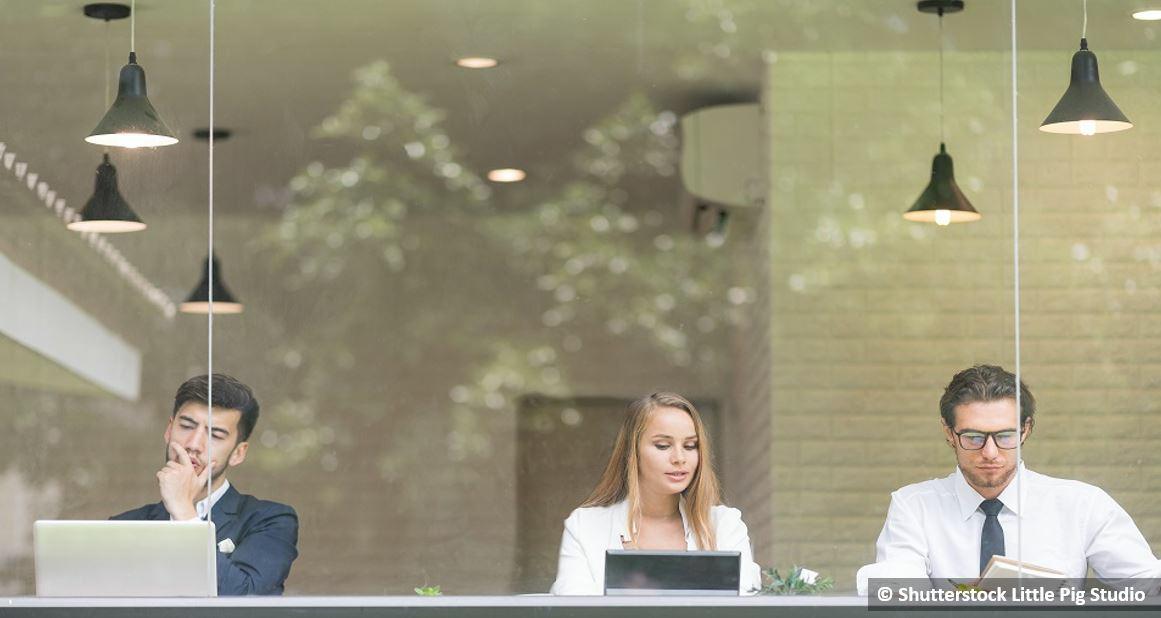 Bureau Oberhausbergen 442m² Vente Bureau Oberhausbergen Bas-Rhin OVBUR2535738 1