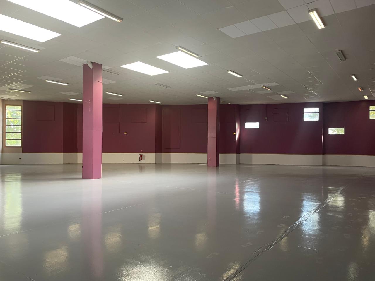 Local d'activité La Plaine Saint-Denis 4383m² Location Local d'activité La Plaine Saint-Denis Seine-Saint-Denis OLACT2428263 1