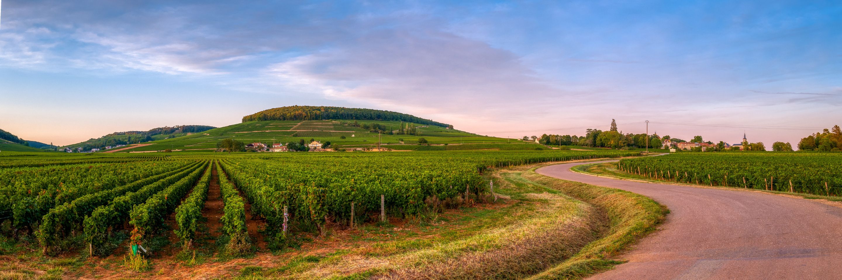 Villages d'activité en Bourgogne BNPPRE