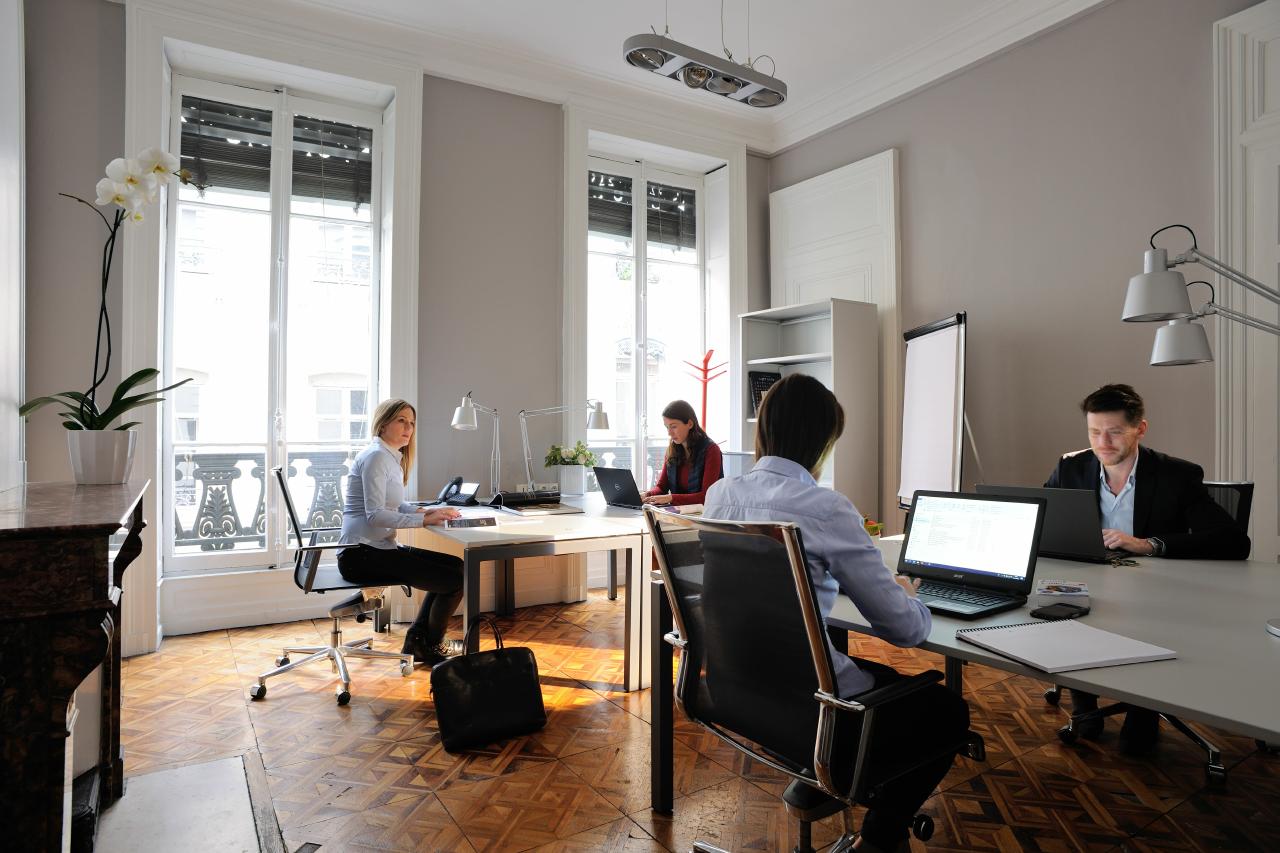 Location coworking Lyon Rhône OLBUR2110618 1