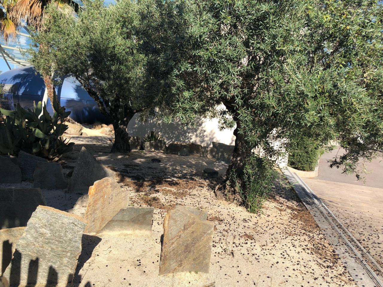 Location bureau Mauguio Hérault OLBUR2428433 4