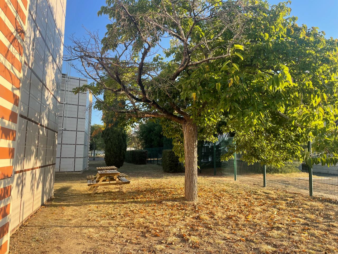 Location bureau Toulouse Haute-Garonne OLBUR2528996 1