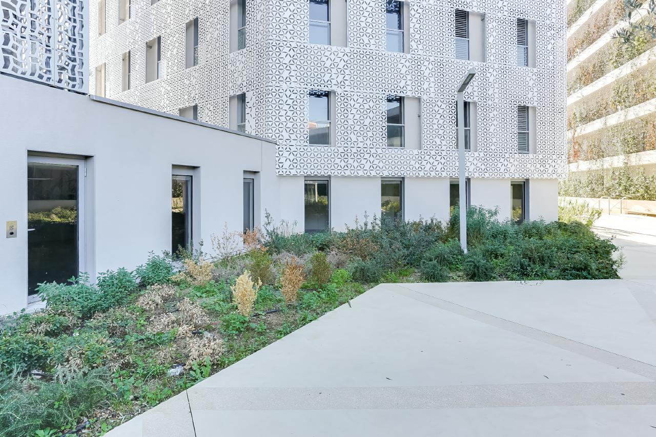 Location bureau Montpellier Hérault OLBUR2531560 3