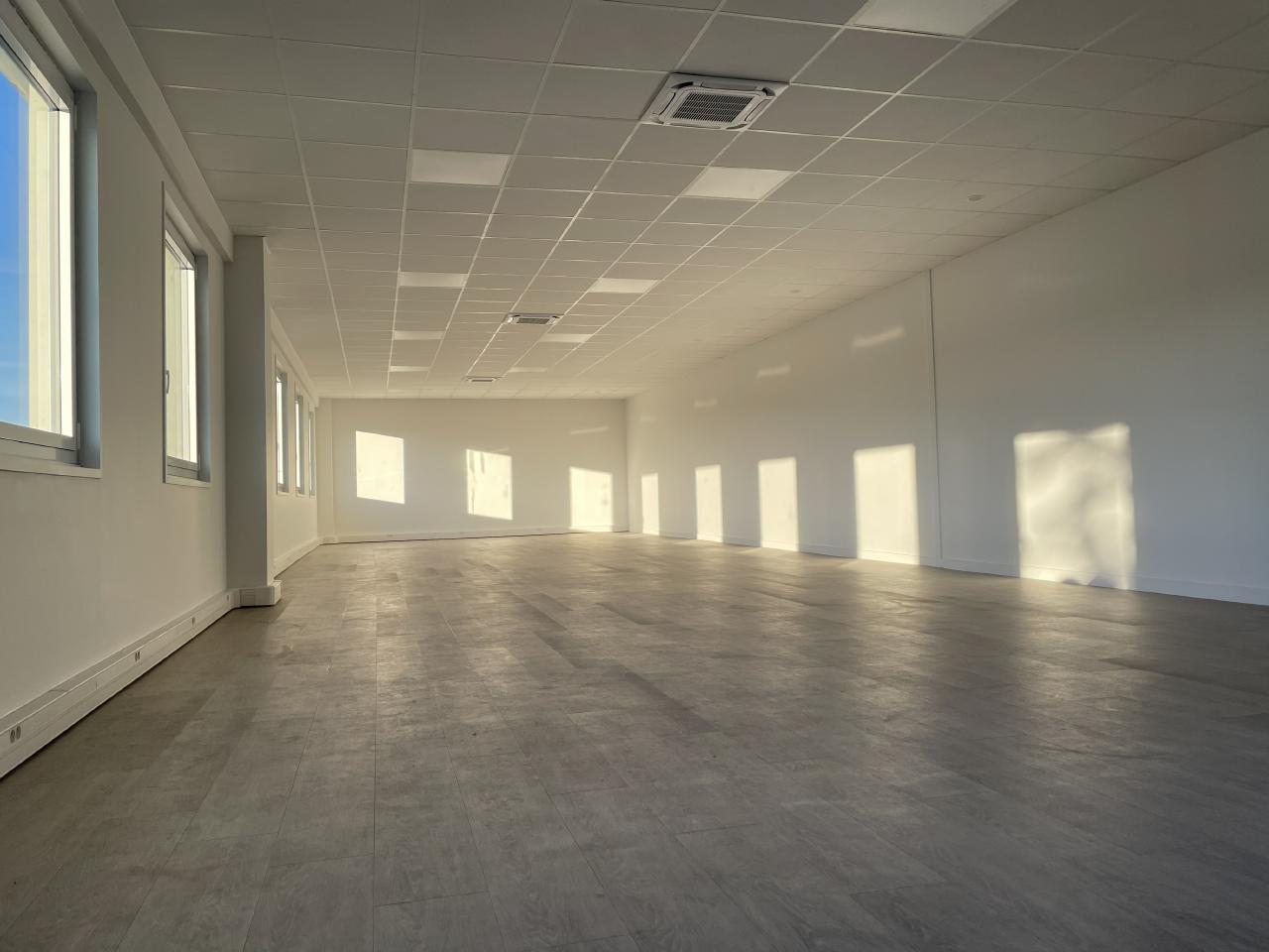 Vente local d'activité Saint-Quentin-Fallavier Isère OVACT2311149 3