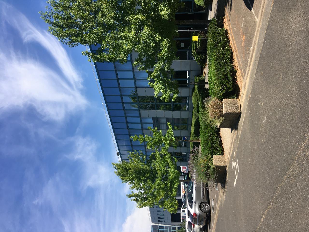 Location local d'activité Fresnes Val-de-Marne OLACT2310328 2