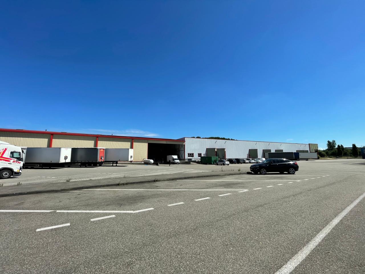 Location local d'activité Scherwiller Bas-Rhin OLACT2424468 1