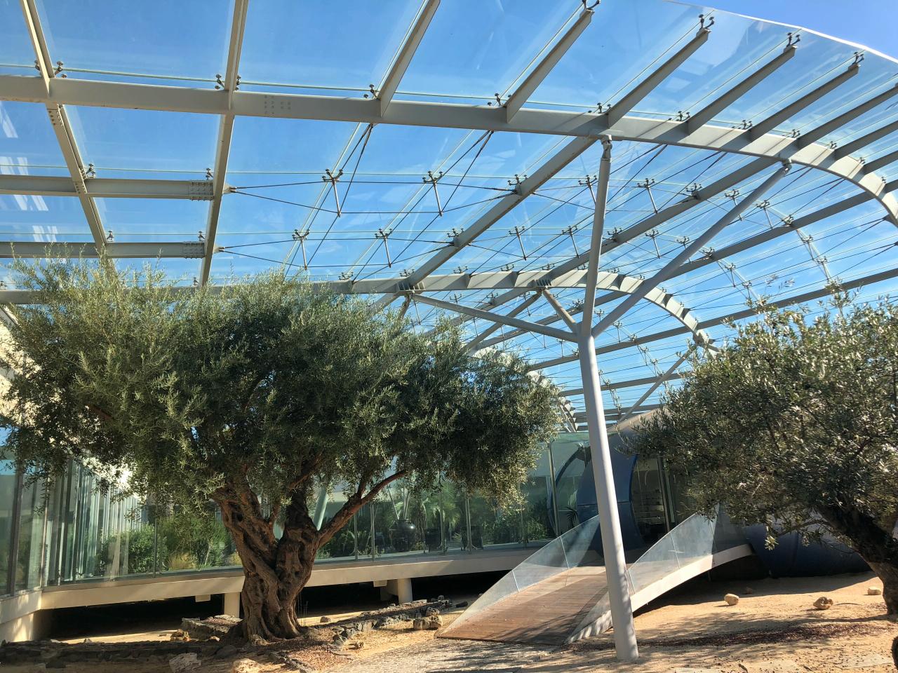 Location bureau Mauguio Hérault OLBUR2428433 1