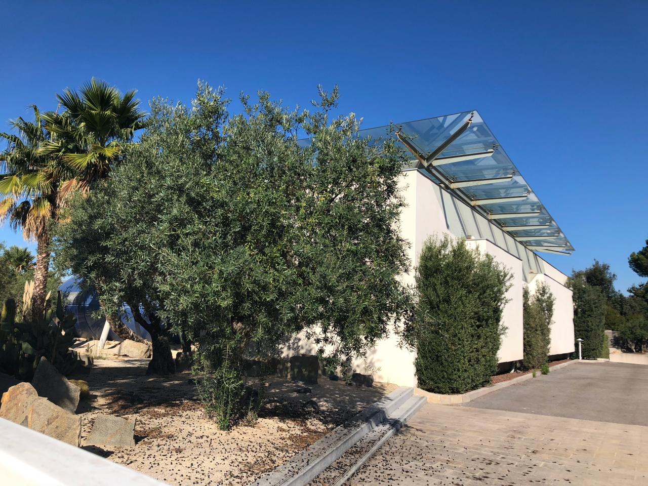 Bureau Mauguio 724m² Location Bureau Mauguio Hérault OLBUR2428433