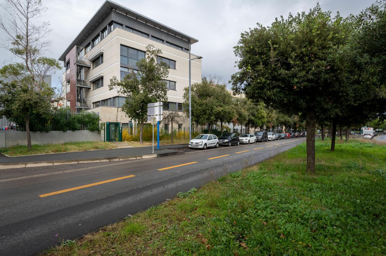 Bureau Montpellier 337.02m² Location Bureau Montpellier Hérault OLBUR2422065